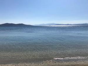 The Sisters Beach House