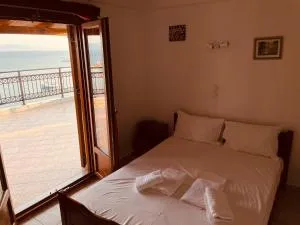 Delfinia Studios - Мікро