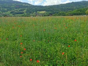 Appartements Super appartement Cocooning vu Mont Blanc : photos des chambres