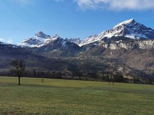 Appartements Super appartement Cocooning vu Mont Blanc : photos des chambres