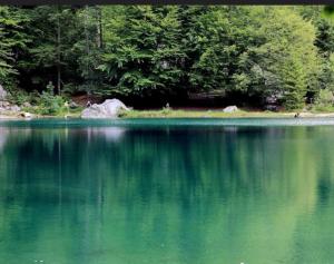 Appartements Super appartement Cocooning vu Mont Blanc : photos des chambres