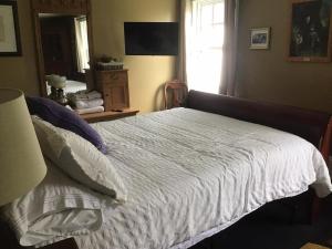 Celtic Mansion Annfield Manor