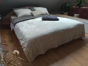 Altavista mountain apartment