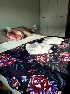 Apartament SFERA SPA KołoBrzegu Parking & Jaccuzi & Sauna Free