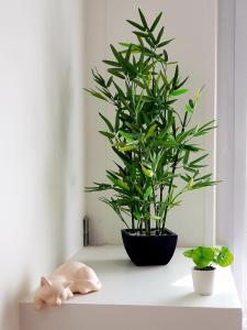 Le Chat dOr - Grande cuisine