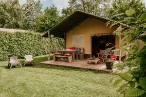 Kampari - Rotstergaast