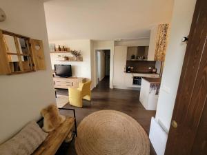 Appartements Precioso apartamento con jardin privado a 4 km de Puigcerda : photos des chambres