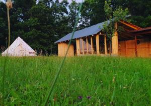Glamping -Texas Glamping