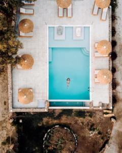 Acti Plaka Hotel