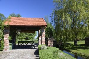 Lisia Góra nad jeziorem Łebsko