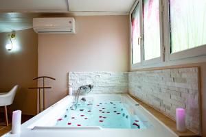 Maisons d'hotes Studio romantique jacuzzi ou spa balneo privatif et jardin Au temps des cerises La Ciotat : photos des chambres