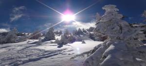 Apartment Alpine by Apartment Managers