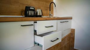 Studio apartment Villa Radovic