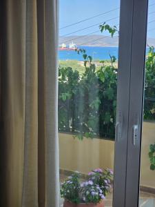KD Country Home