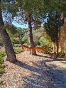 Appartements L'oasis de port Fitou : photos des chambres