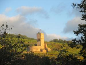 Maisons de vacances Ecologis du Vignoble : photos des chambres