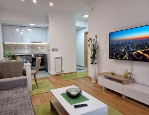 Modern & Trendy Apartment