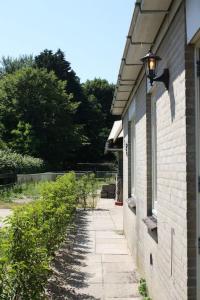 De Bosrand grenzend aan het bos