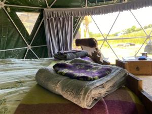 Geodesic Dome Glamping