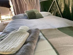 Geodesic Dome Glamping