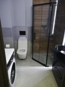 Homely Apartment