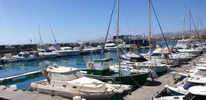 Apartament CALETA