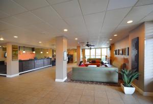 Rosen Inn Closest to Universal