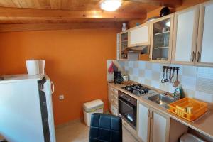 Apartments by the sea Cres - 21117