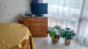 Balcon sous le Canigou T1 40m2 cuisine séparée