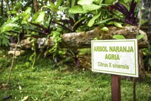 Tranquilidad y comodidad para ti