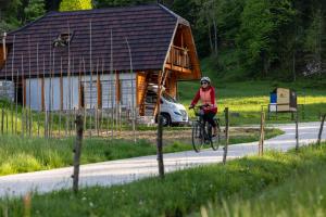 Wellbeeing Apiary at Klemens
