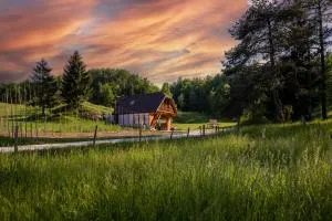 Wellbeeing Apiary at Klemen's - 伊德里亚