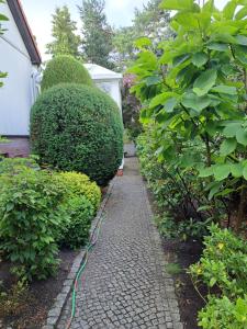 Apartment Kastanienallee Rosenthal