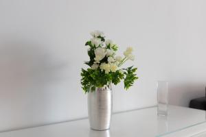 Penthouse with private pool