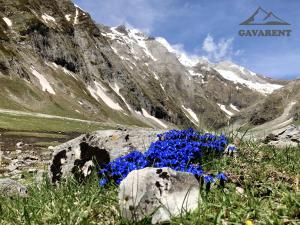Maisons de vacances Gavarent : photos des chambres