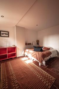 Appartements Carcassonne mon amour : photos des chambres