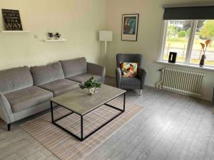 Space to socialize 3km from the peak of Isaberg!