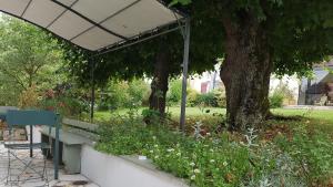 B&B / Chambres d'hotes Les 7 Tilleuls - Chambres d'hotes : photos des chambres