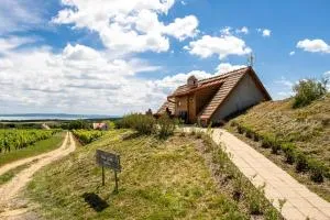 Tagyon Birtok Kései szüret Apartmanház - Tagyon