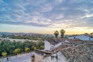 NEWMEZQUITA1 Magníficas vistas a Mezquita Catedral