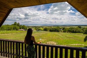 obrázek - Tagyon Birtok Panoráma Apartman