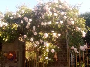 La Grille Fleurie, chambres dhôte chez lhabitant