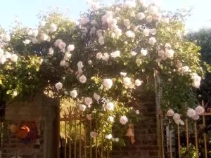 La Grille Fleurie, chambres d'hôte chez l'habitant - 塞纳河畔沙提永