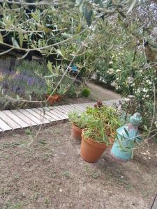 B&B La Terre Brûlée