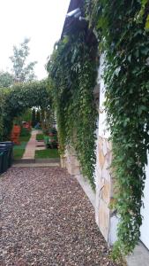 Morska Bryza -Pokoje gościnne na trasie R10