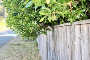 Maisons de vacances maison en bois a 40m du lac : photos des chambres