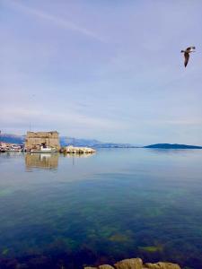 Apartman Mala plaža 2