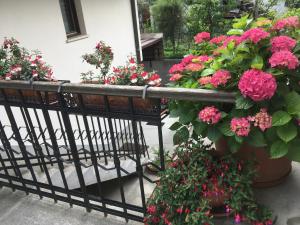 House Natura with garden