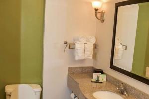 Double Room with Two Double Beds - Accessible/Non-Smoking room in Sleep Inn & Suites Laurel