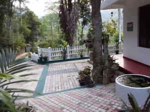 Villa25 Homestay free pick up from the centre